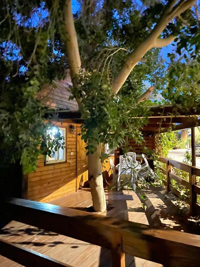 死海道恩山林小屋 纳欧特哈基卡 外观 照片